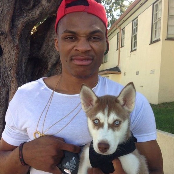 15 Celebrities Who Are Major Husky Lovers 9