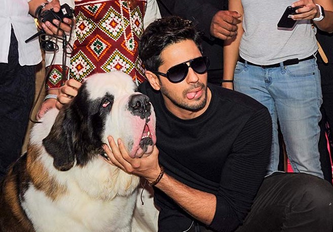 16 Celebrities Who Are Major St. Bernard Lovers 11