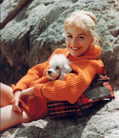 16 Celebrities Who Are Major Poodle Lovers 10
