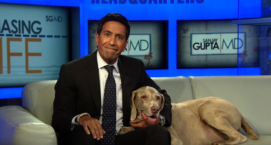 10 Celebrities Who Are Major Weimaraner Lovers 11