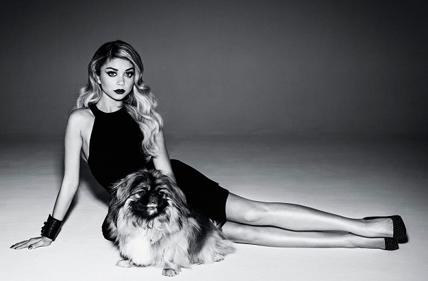 14 Celebrities Who Are Major Pekingese Lovers 7