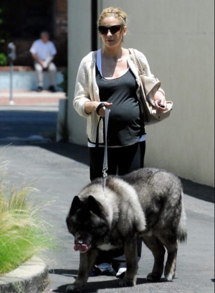 10 Celebrities Who Are Major Akita Inu Lovers 11