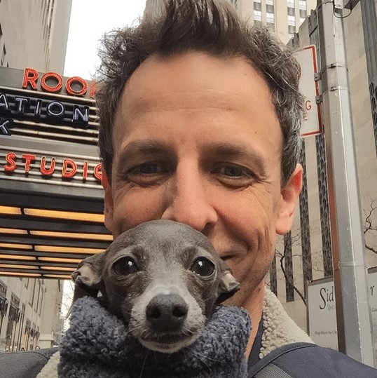 13 Celebrities Who Are Major Greyhound Lovers 9