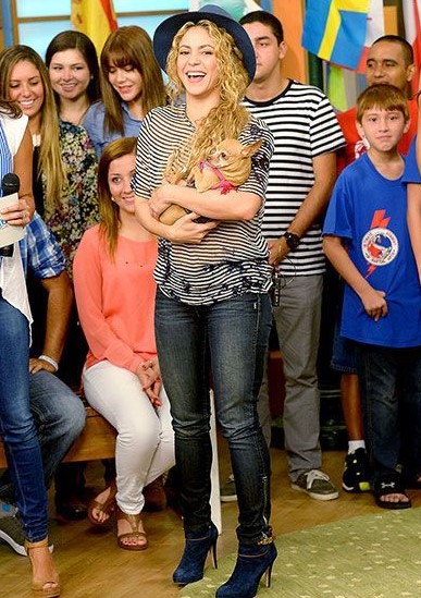 15 Celebrities Who Are Major Chihuahua Lovers 9