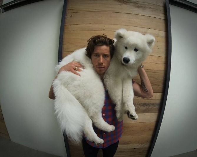 12 Celebrities Who Are Major Samoyed Lovers 10