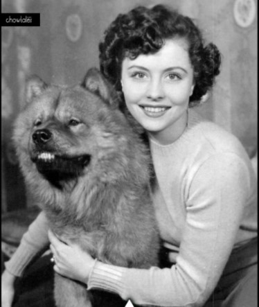 14 Celebrities Who Are Major Chow Chow Lovers 7