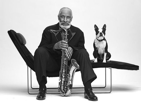 12 Celebrities Who Are Major Boston Terrier Lovers 11