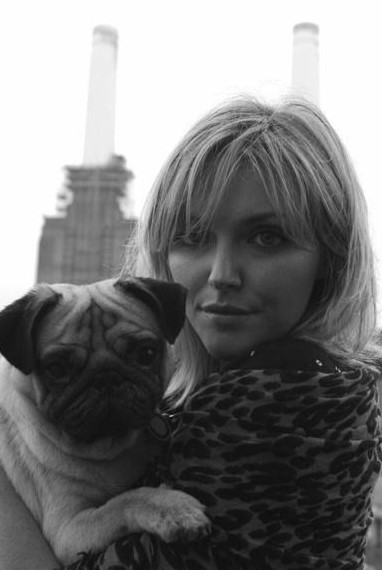 15 Celebrities Who Are Major Pug Lovers 45 15 Celebrities Who Are Major Pug Lovers 45