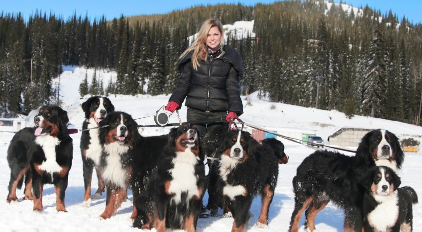 10 Celebrities Who Are Major Bernese Mountain Dog Lovers 11