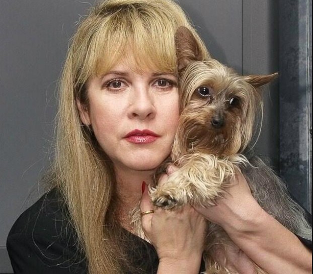 15 Celebrities Who Are Major Yorkie Lovers 11