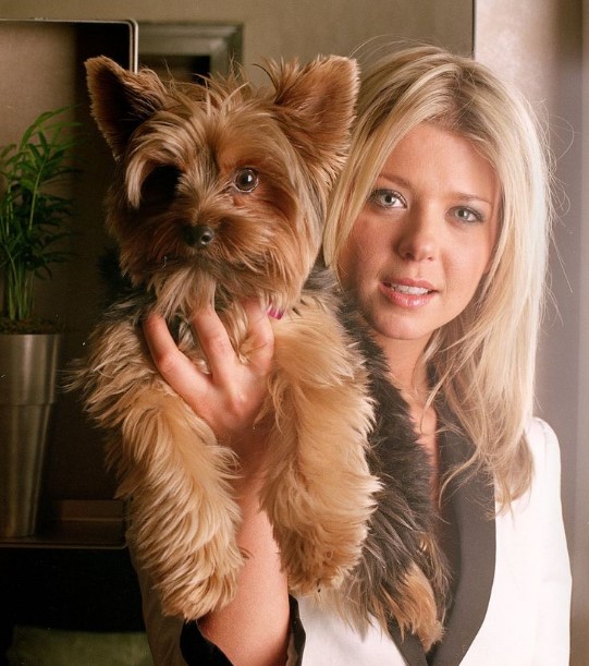 15 Celebrities Who Are Major Yorkie Lovers 9