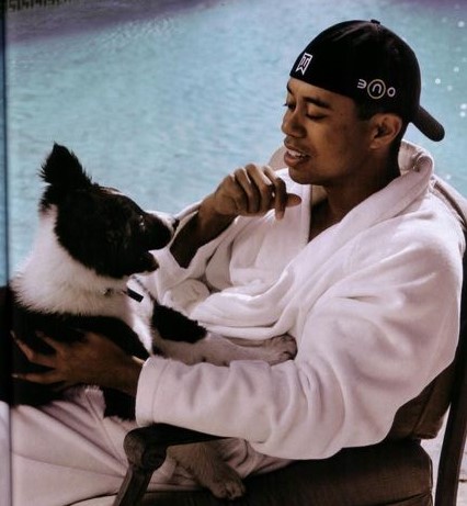 12 Celebrities Who Are Major Border Collie Lovers 11