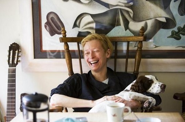 10 Celebrities Who Are Major Springer Spaniel Lovers 5