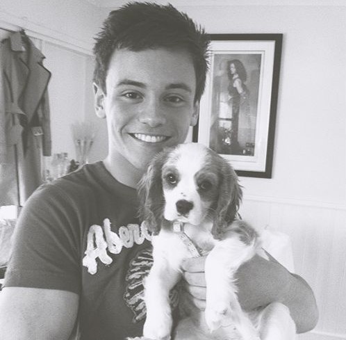 15 Celebrities Who Are Major Cavalier King Charles Spaniel Lovers 10