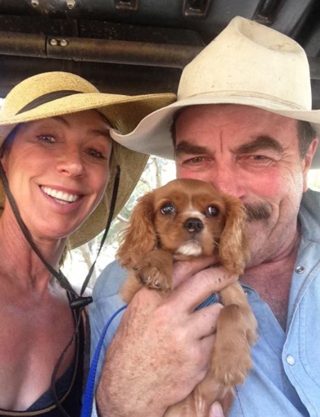 15 Celebrities Who Are Major Cavalier King Charles Spaniel Lovers 11