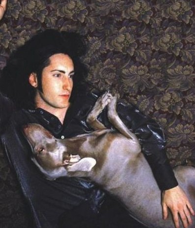 13 Celebrities Who Are Major Greyhound Lovers 11