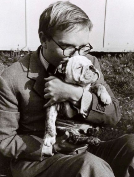 15 Celebrities Who Are Major English Bulldog Lovers 10