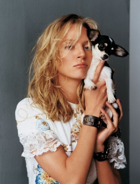 15 Celebrities Who Are Major Chihuahua Lovers 11