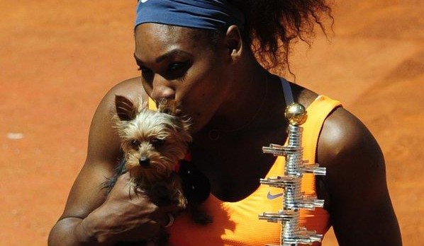 15 Celebrities Who Are Major Yorkie Lovers 11