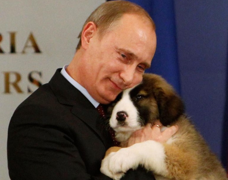16 Celebrities Who Are Major St. Bernard Lovers 5
