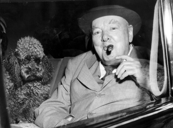 16 Celebrities Who Are Major Poodle Lovers 5