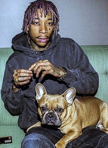 16 Celebrities Who Are Major French Bulldog Lovers 11