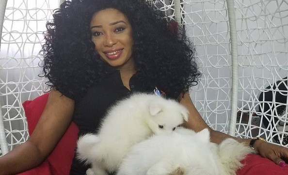 12 Celebrities Who Are Major Samoyed Lovers 11