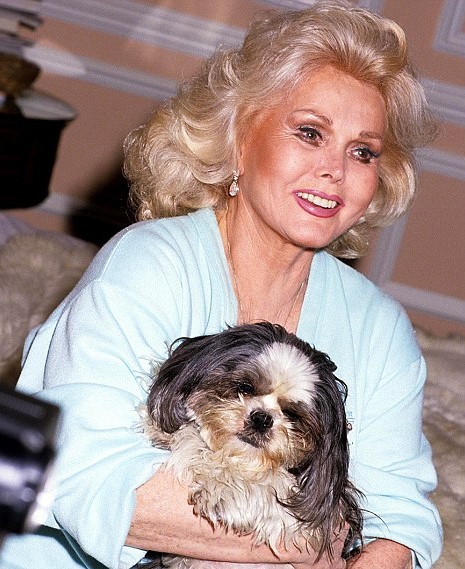 13 Celebrities Who Are Major Shih Tzu Lovers 10