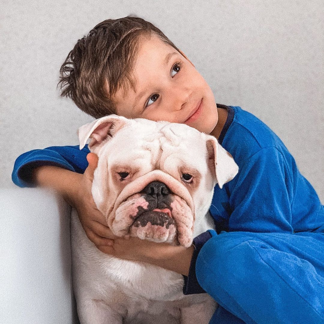 15 Amazing Facts About English Bulldogs You Probably Never Knew 9