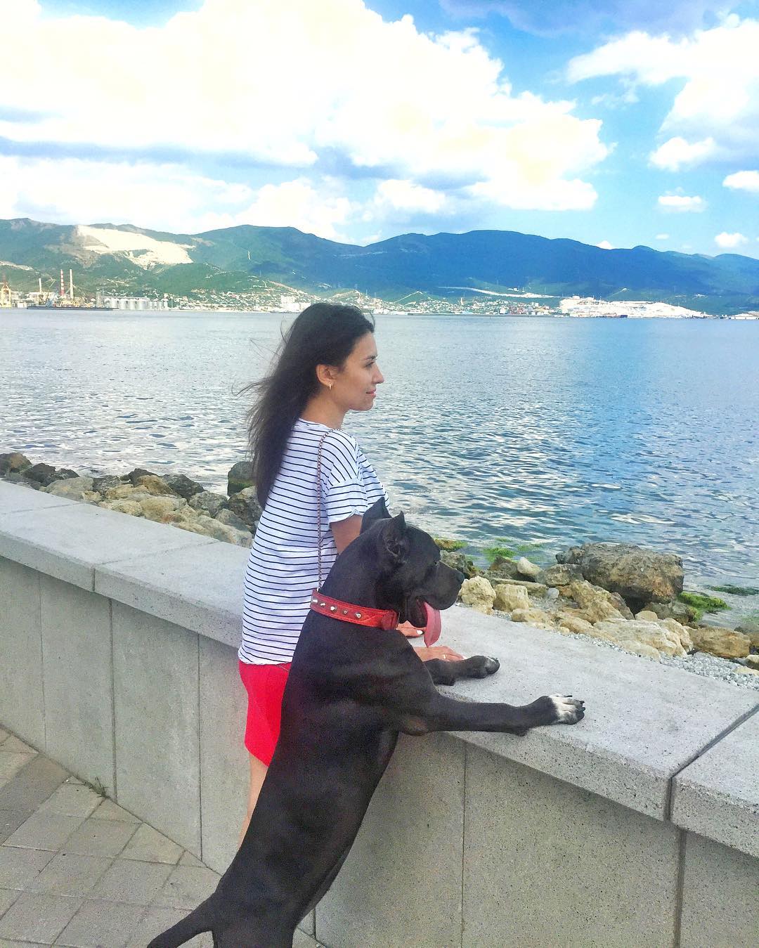 15 Interesting Facts About Cani Corsi 11