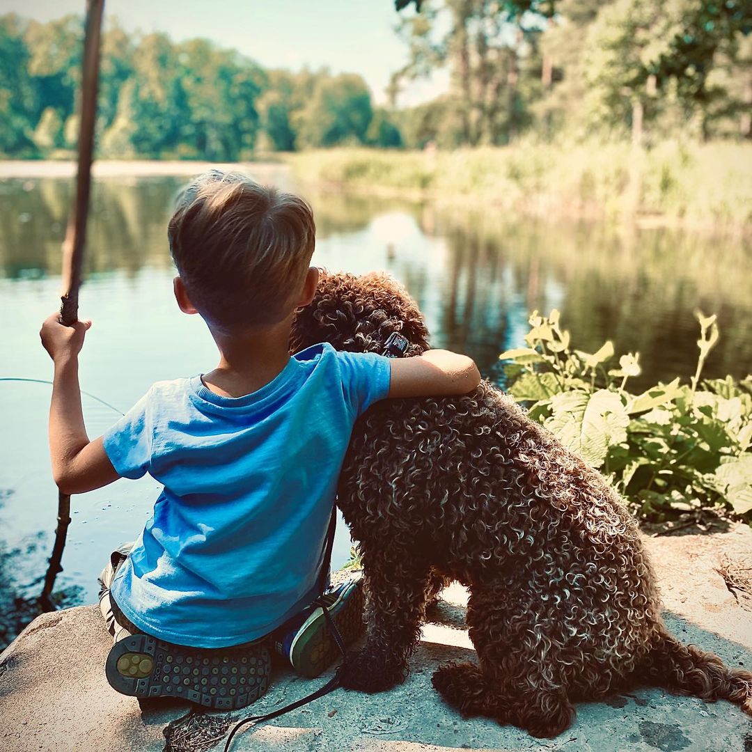 15 Interesting Facts About the Lagotto Romagnolo Dogs 10