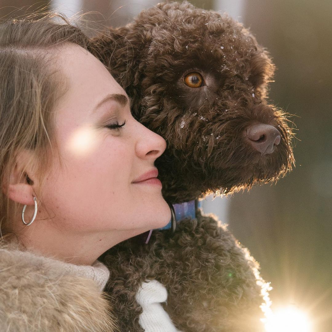 15 Cool Facts About Lagotto Romagnolo Dogs 11