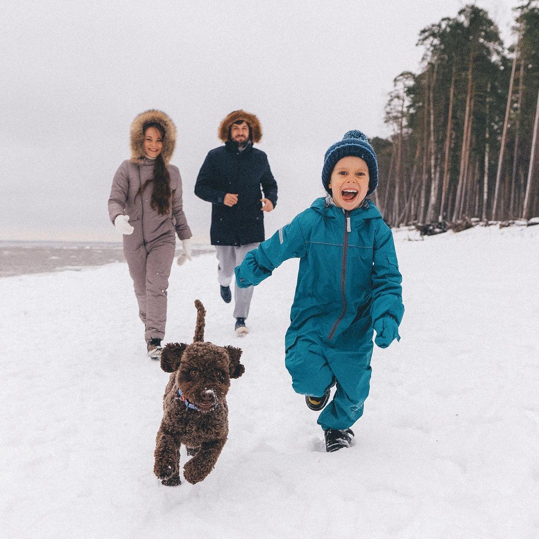 15 Cool Facts About Lagotto Romagnolo Dogs 10