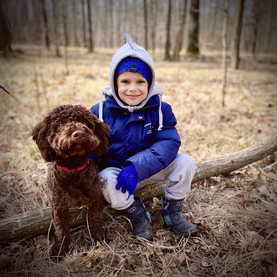 15 Interesting Facts About the Lagotto Romagnolo Dogs 11