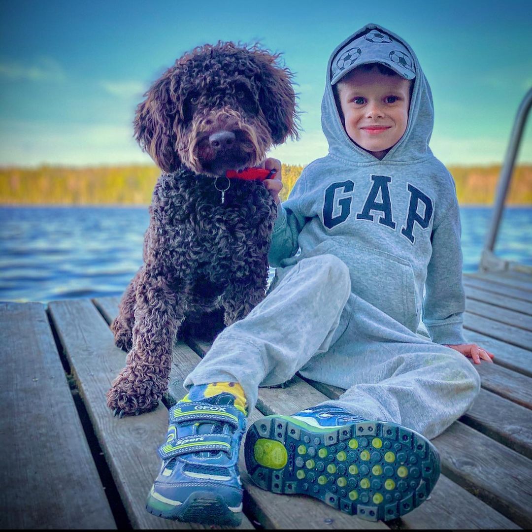 15 Amazing Facts About Lagotto Romagnolo Dogs You Probably Never Knew 10
