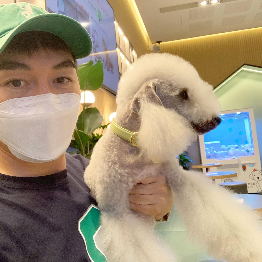 15 Interesting Facts About Bedlington Terriers 11