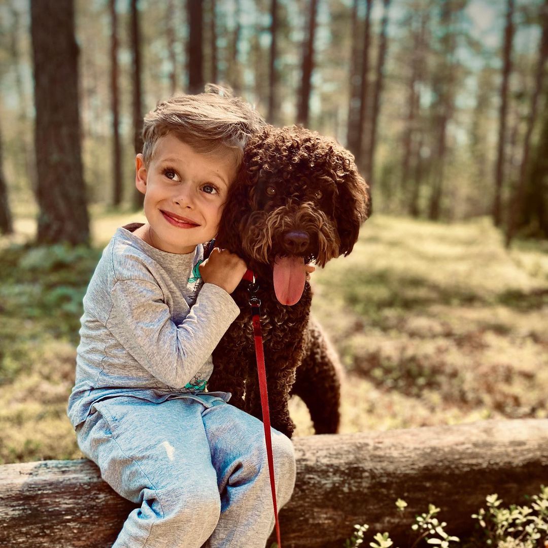 15 Interesting Facts About the Lagotto Romagnolo Dogs 10