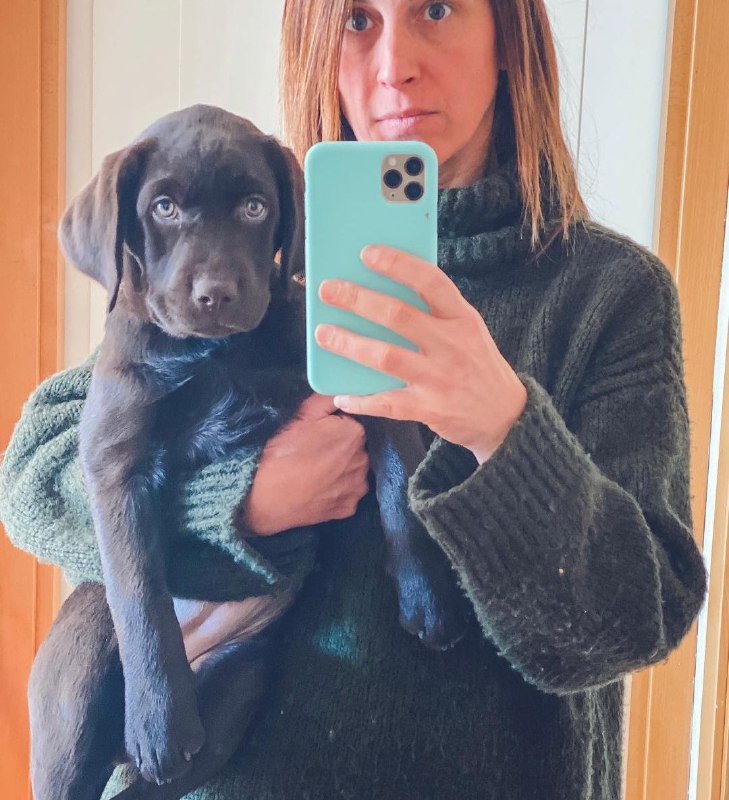 15 Reasons Why You Should Never Own Labradors 9