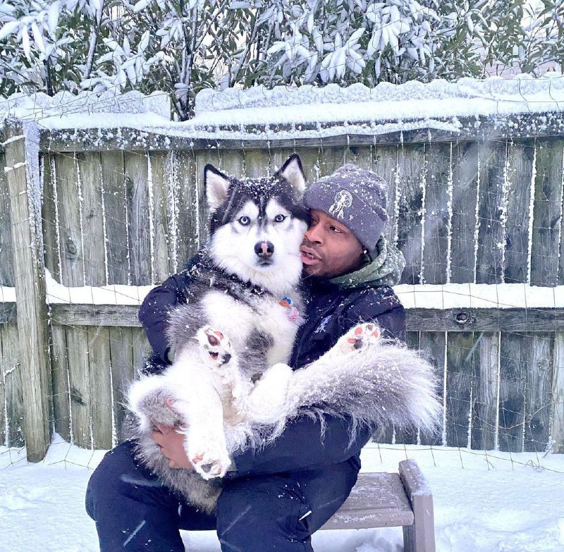 15 Reasons Why You Should Never Own Siberian Huskys 9