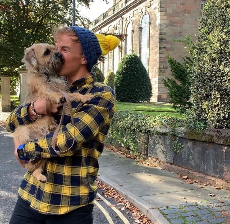 15 Reasons Why You Should Never Own Border Terriers 9