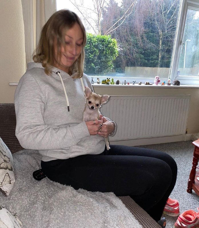 15 Reasons Why You Should Never Own Chihuahuas 9