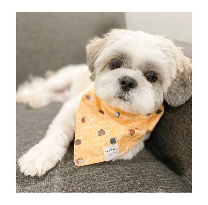 15 Reasons Why You Should Never Own Shih Tzus 11 15 Reasons Why You Should Never Own Shih Tzus 11