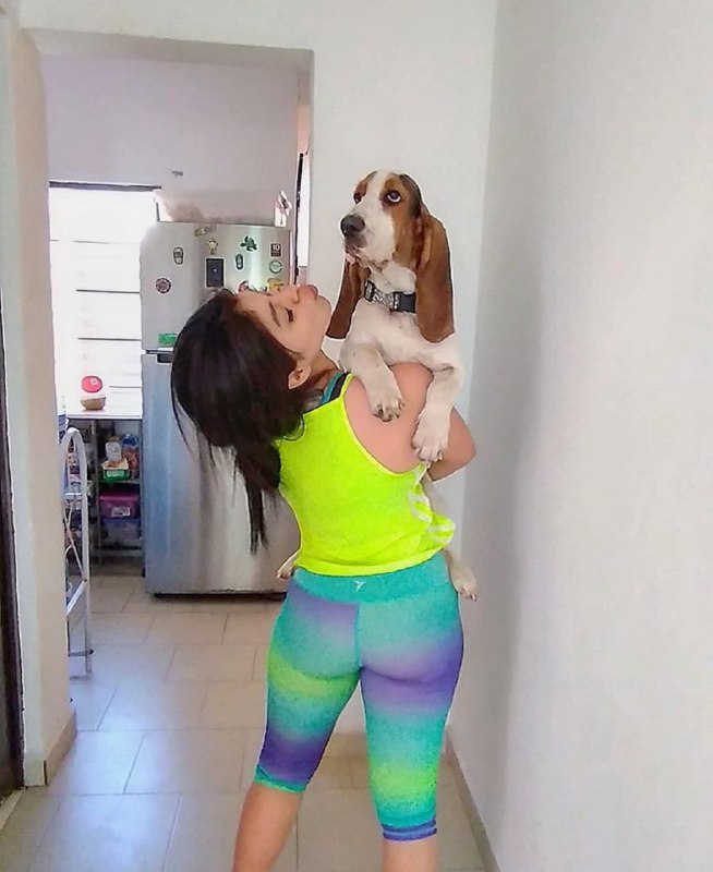 15 Reasons Why You Should Never Own Basset Hounds 9