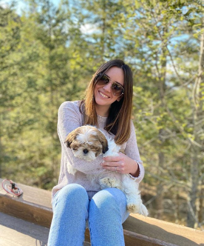 15 Reasons Why You Should Never Own Shih Tzus 9