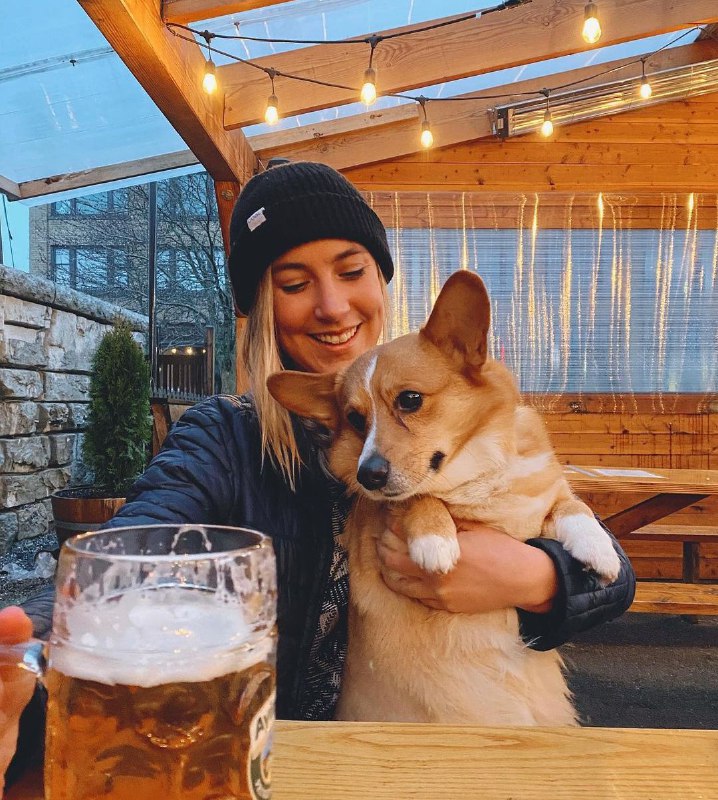 15 Reasons Why You Should Never Own Corgis 9