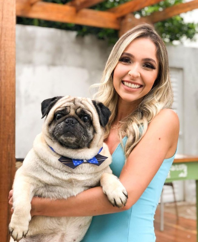 15 Reasons Why You Should Never Own Pugs 9