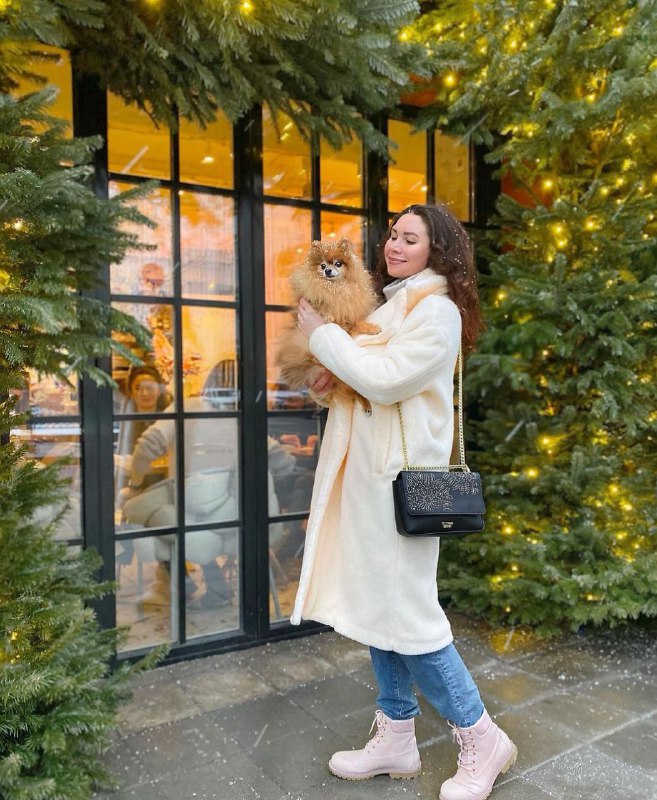 15 Reasons Why You Should Never Own Pomeranians 9