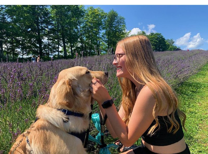 15 Reasons Why You Should Never Own Golden Retrievers 9