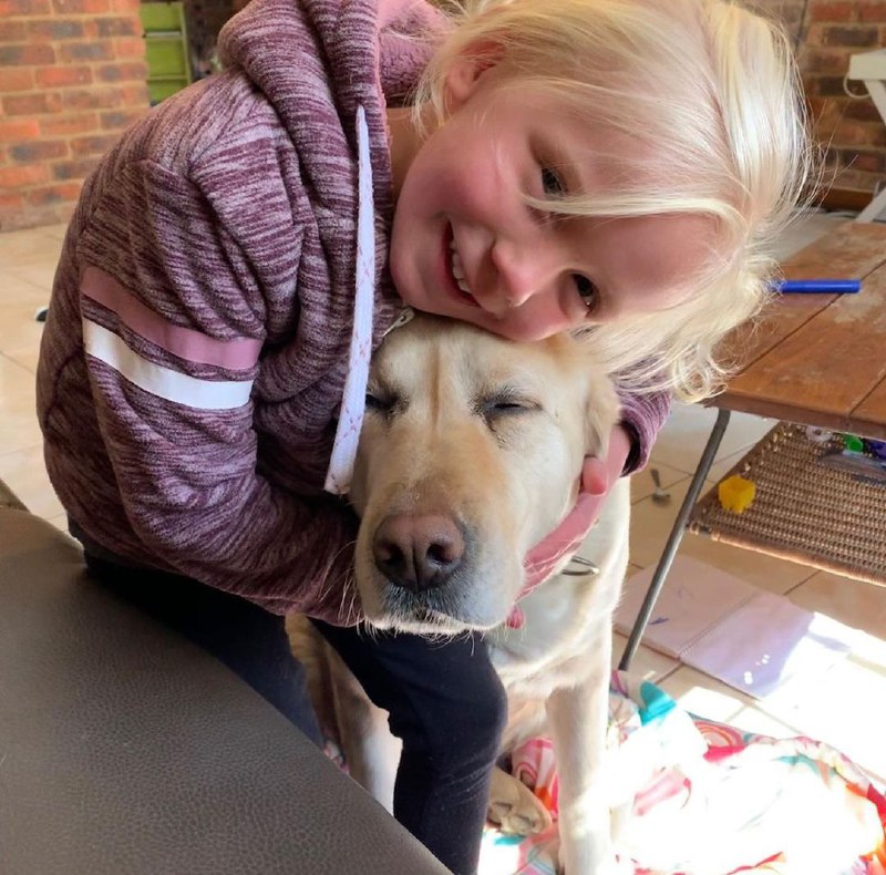 15 Reasons Why You Should Never Own Labradors 10