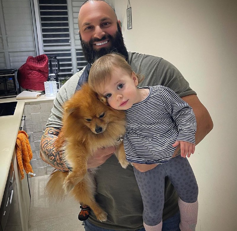 15 Reasons Why You Should Never Own Pomeranians 10